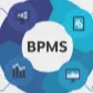 FM - BPMS